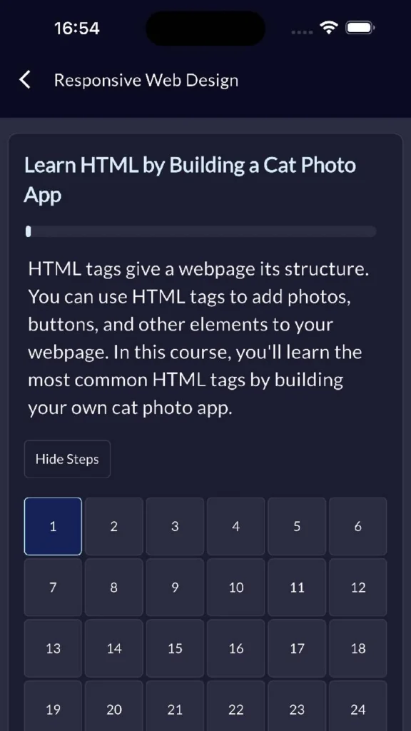 freeCodeCamp برای یادگیری کدنویسی با موبایل – نمای 2