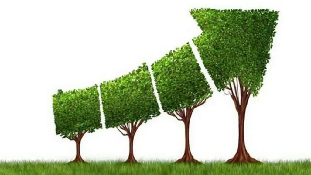 زمان مناسب برای Scale-up استارتاپ